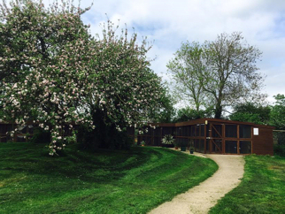 The cattery at Radmore Farm, Litchborough - near Northampton and Daventry