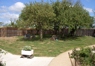 External view of the cattery at Radmore Farm (near Northampton, Daventry and Towcester)